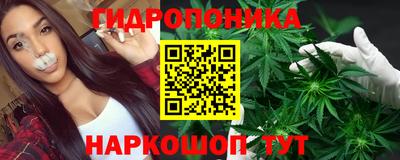 ешки Ставрополь