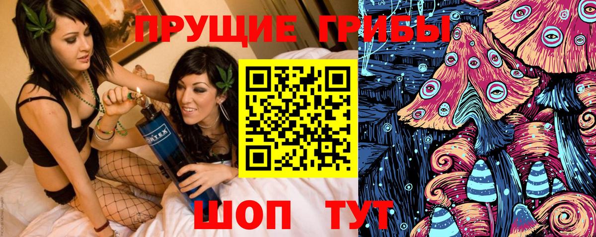 Галлюциногенные грибы Psilocybine cubensis  Вход с VPN  Родники 